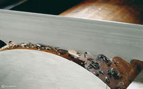 巫山带锯床线速度设定过高，为什么会导致带锯条齿尖发热加速锯条的磨损？